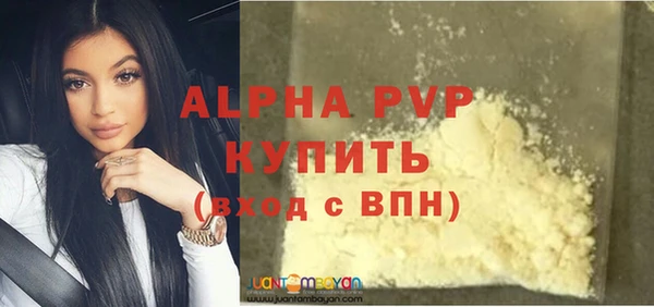 хмурый Абаза