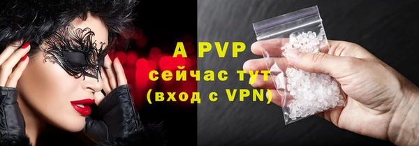 хмурый Абаза