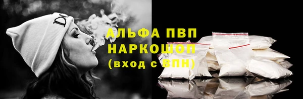 хмурый Абаза