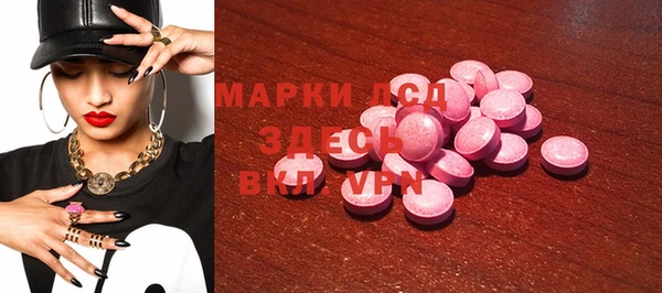 хмурый Абаза