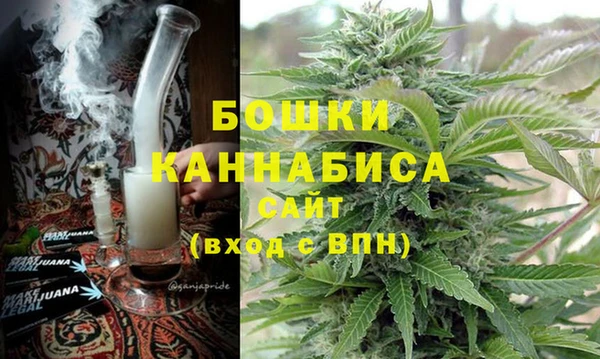 хмурый Абаза